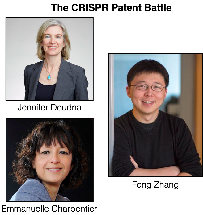 Crispr patent wars