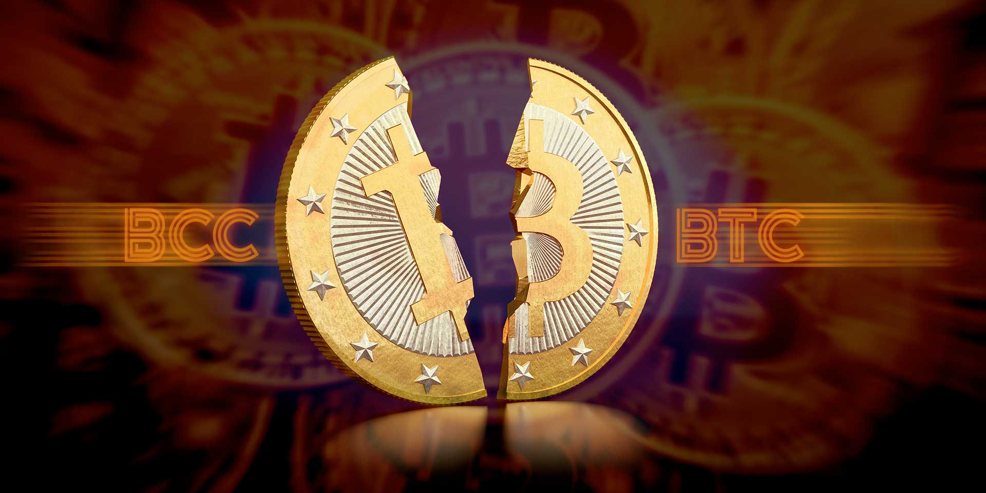 Btc bcc split wealthiest bitcoin owners